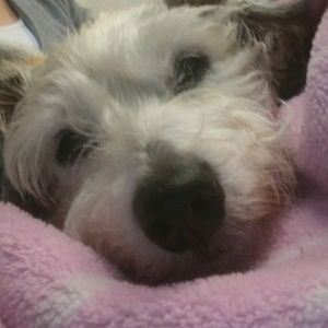 Meet your Posher, Patti